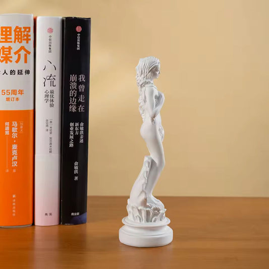 Vilead Aphrodite Statue The Greek Goddess of Beauty Resin Miniature Figurine Book Shelf Decoration Office Desktop Table Decor